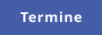 Termine