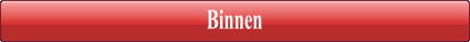 Binnen